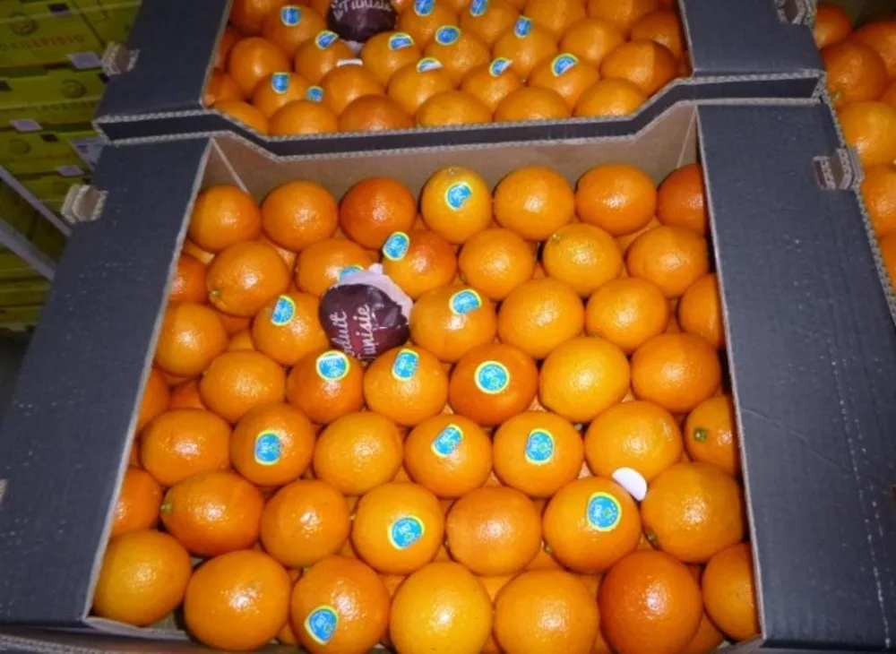 Orange maltaise tunisie