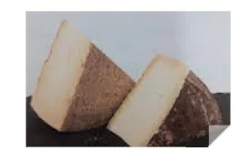 Fourme de rochefort