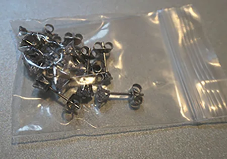 Earrings