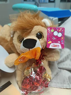 Soft toy