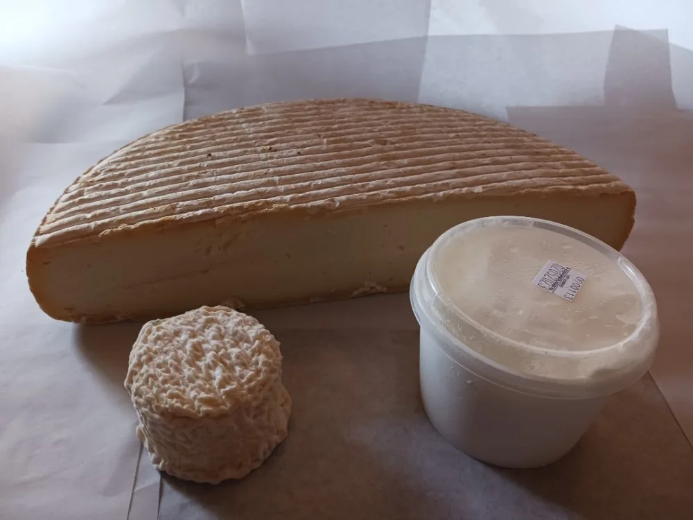 Fromages de brebis