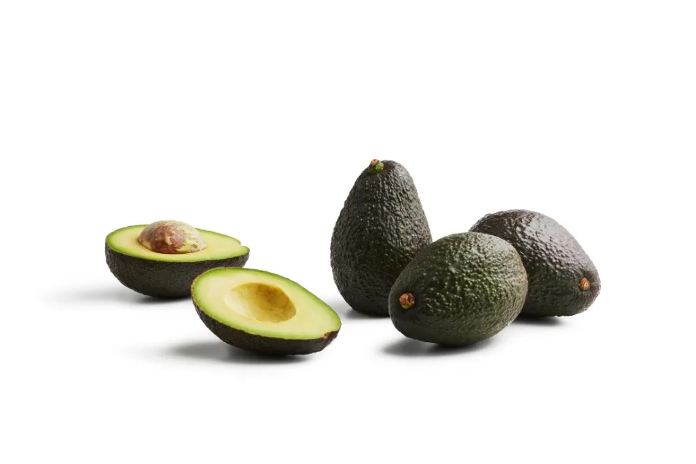 Avocat