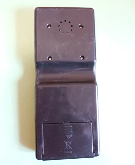 Electronic toy