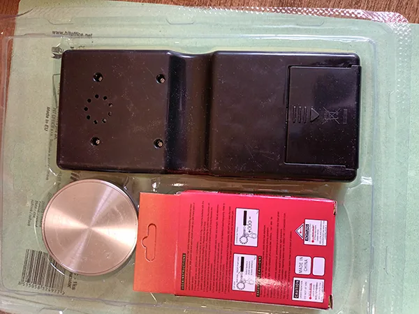 Electronic toy