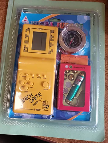 Electronic toy