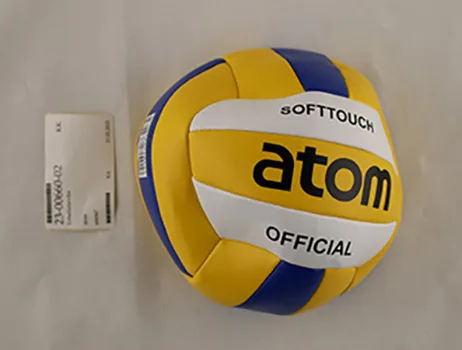 Volleyball