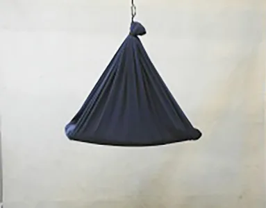 Sensory swing
