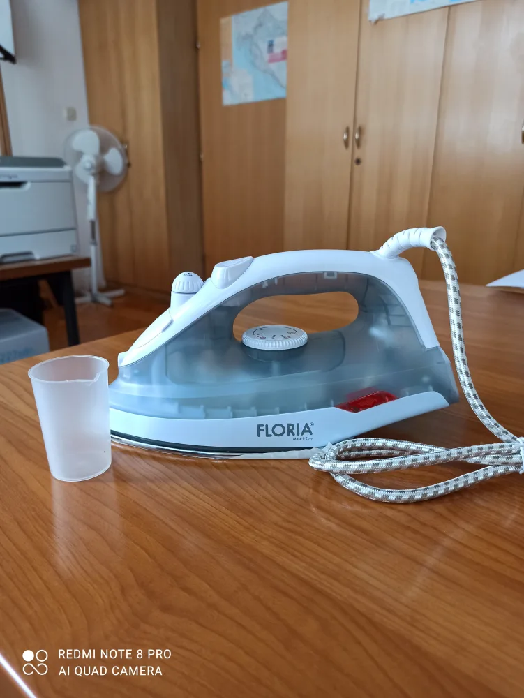 Electric iron
