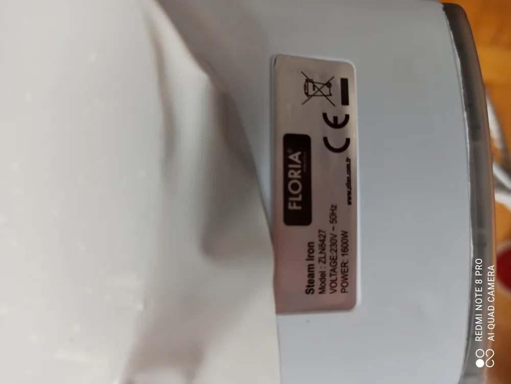 Electric iron