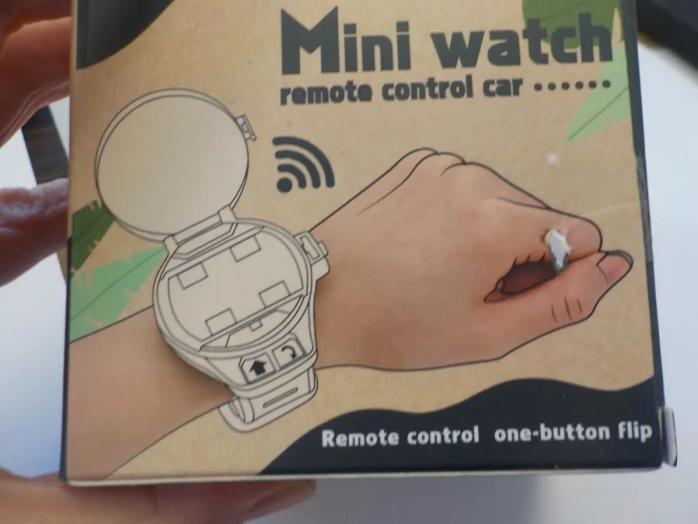 Battery-powered toy