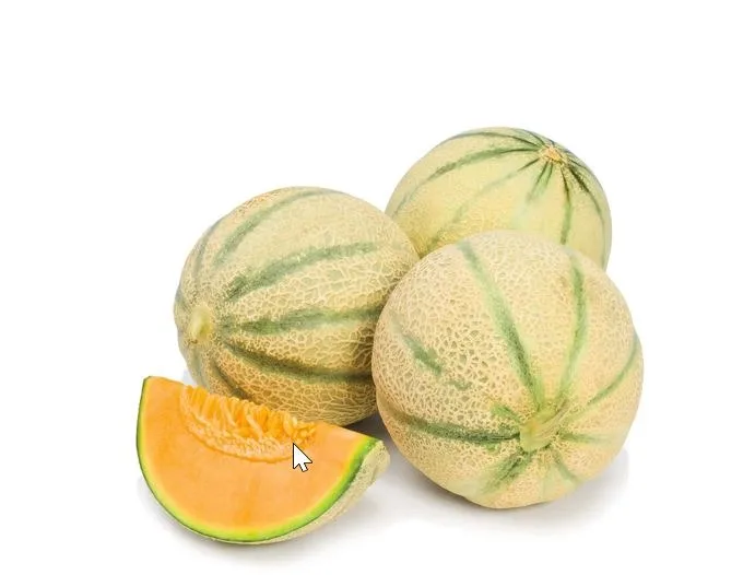Melon charentais