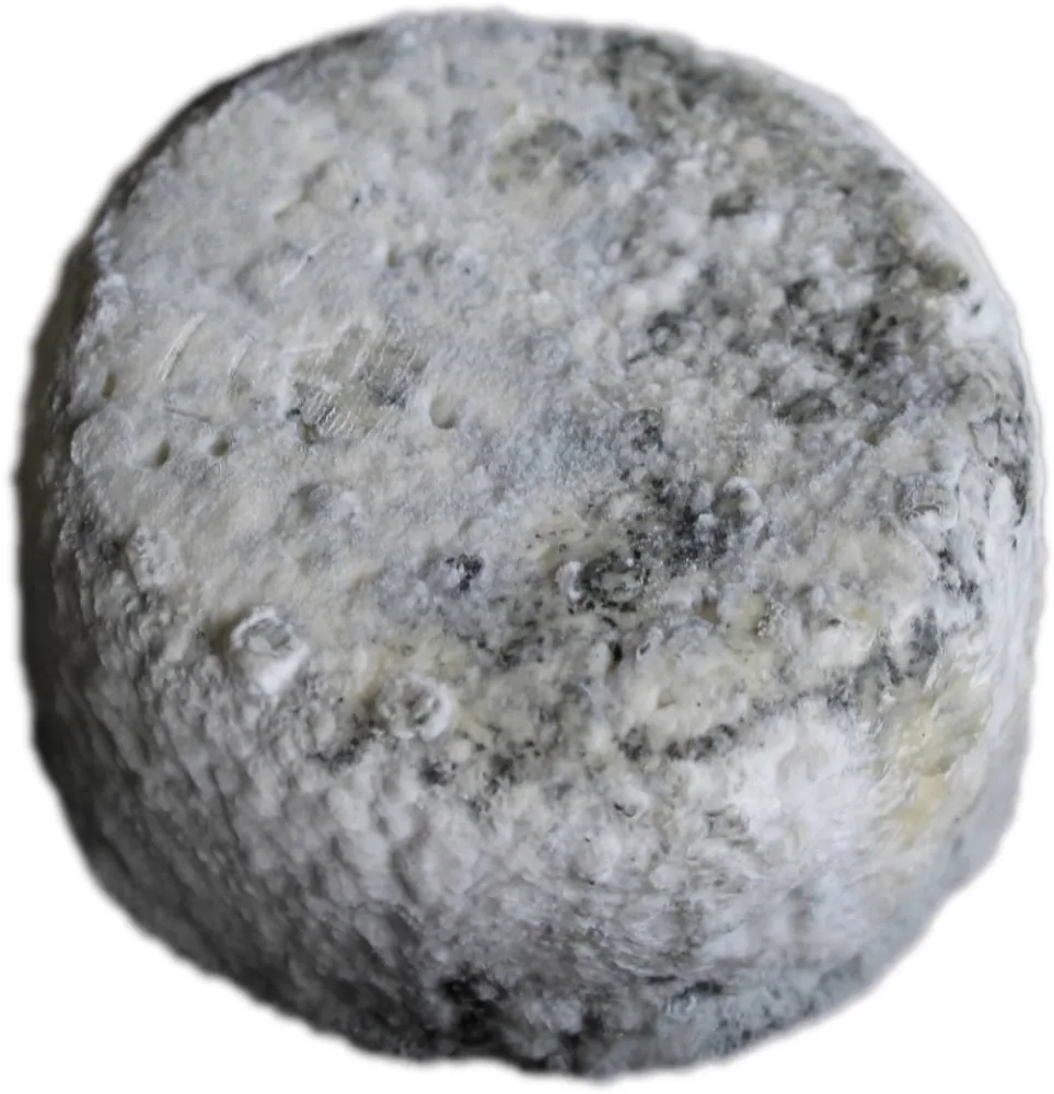 Galet de bourgogne