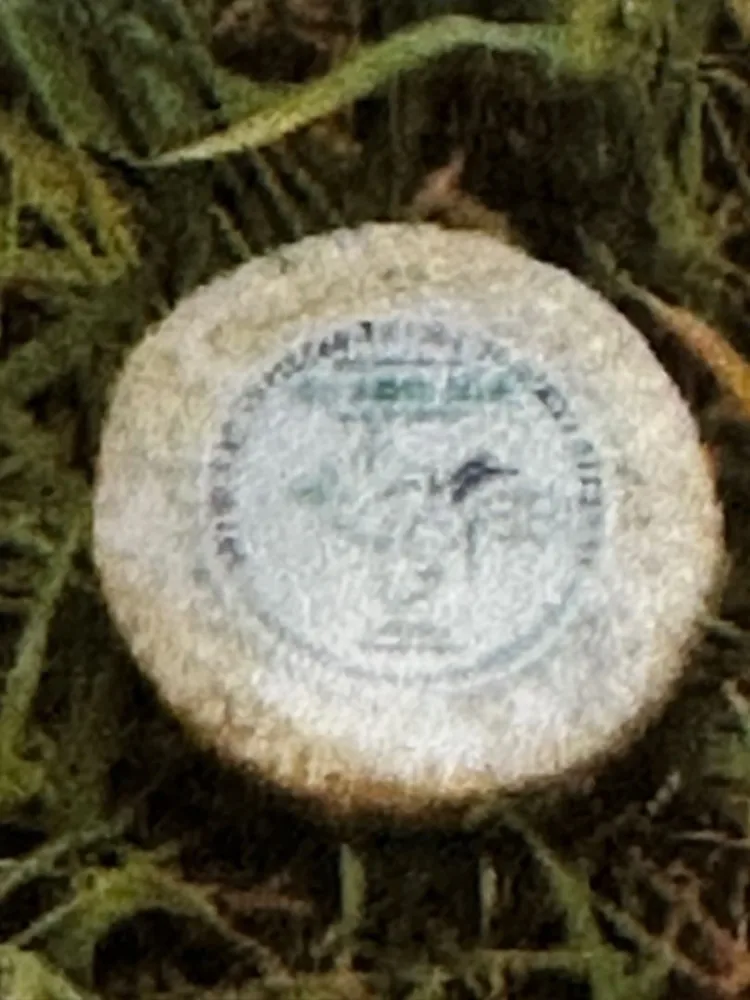 Tomette de brebis / chevre