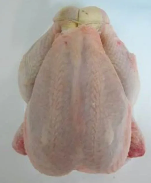 Poulet sous film
