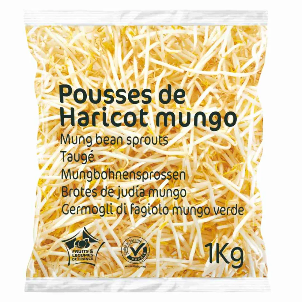 Pousse de haricot mungo