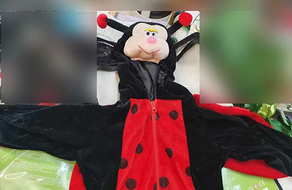 Fancy dress costume