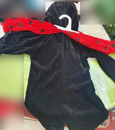 Fancy dress costume