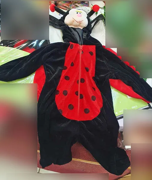 Fancy dress costume