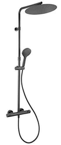 Shower column