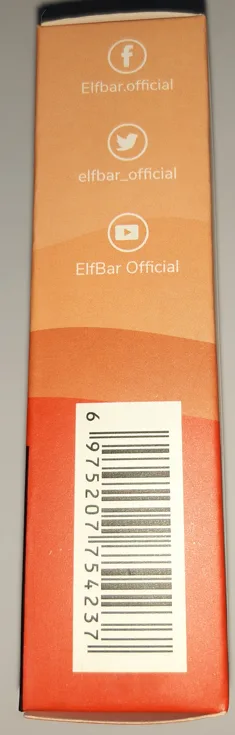 Disposable electronic cigarette