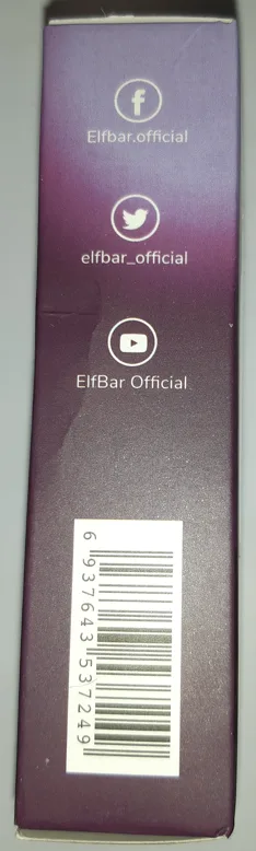 Disposable electronic cigarette