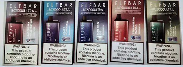 Disposable electronic cigarette