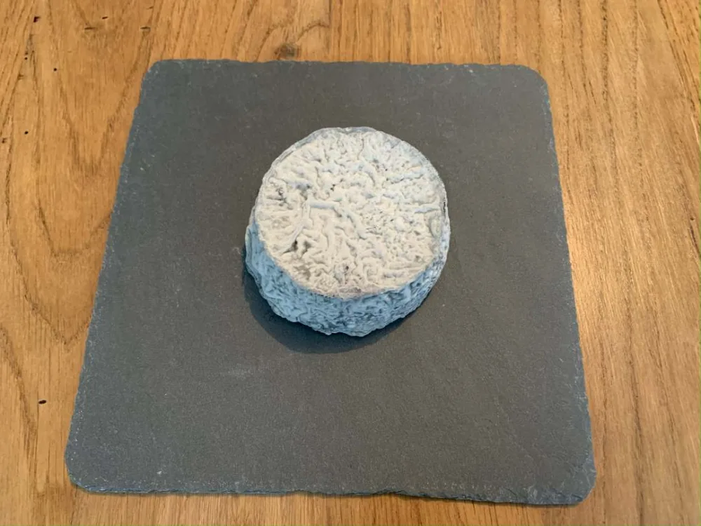 Fromage de chèvre