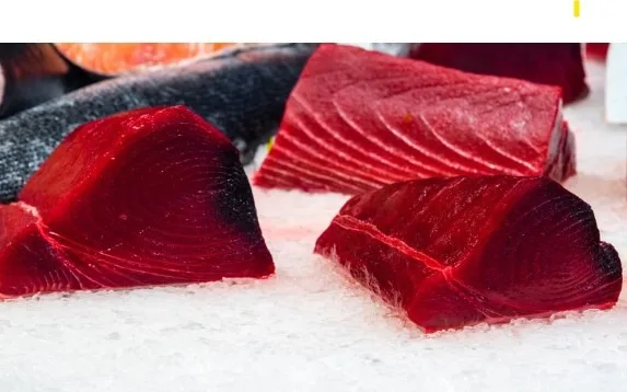 Longe de thon albacore