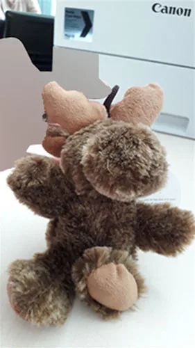 Soft toy
