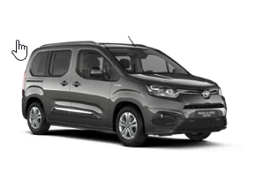 Passenger van / Light commercial vehicle