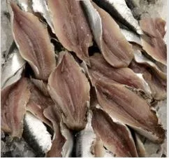 Filet de sardine 40/60