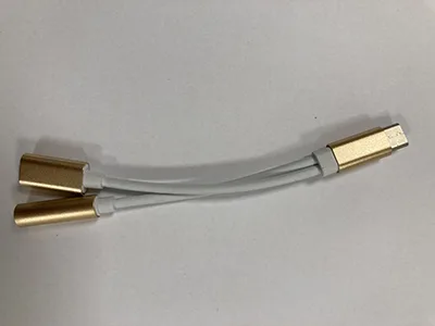 Dual cable adaptor