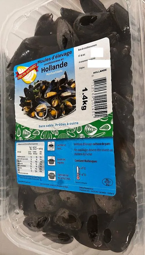 Moule elevee en hollande