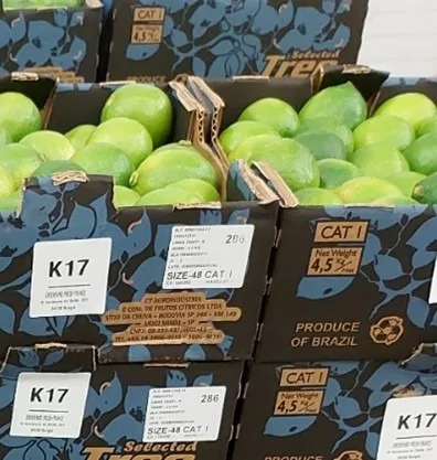 Lime