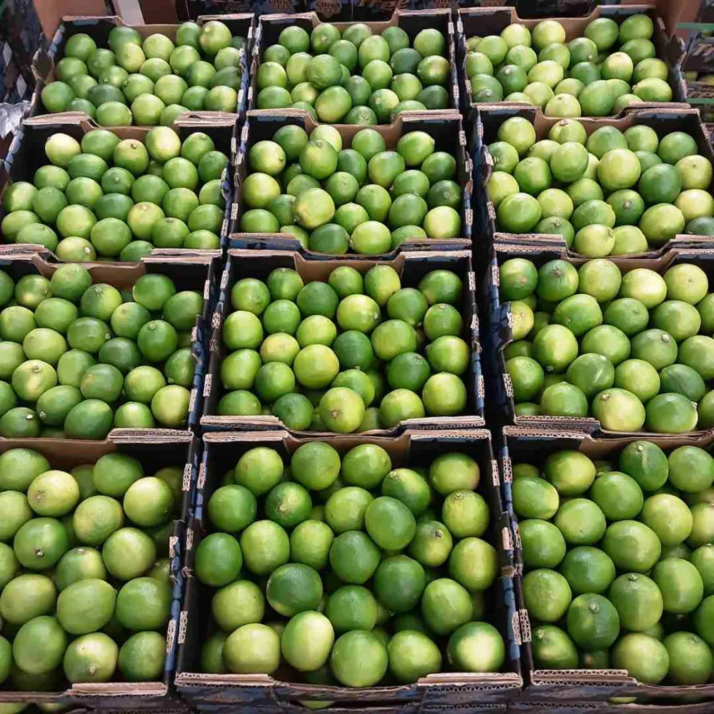 Lime