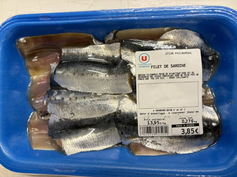 Filet de sardine