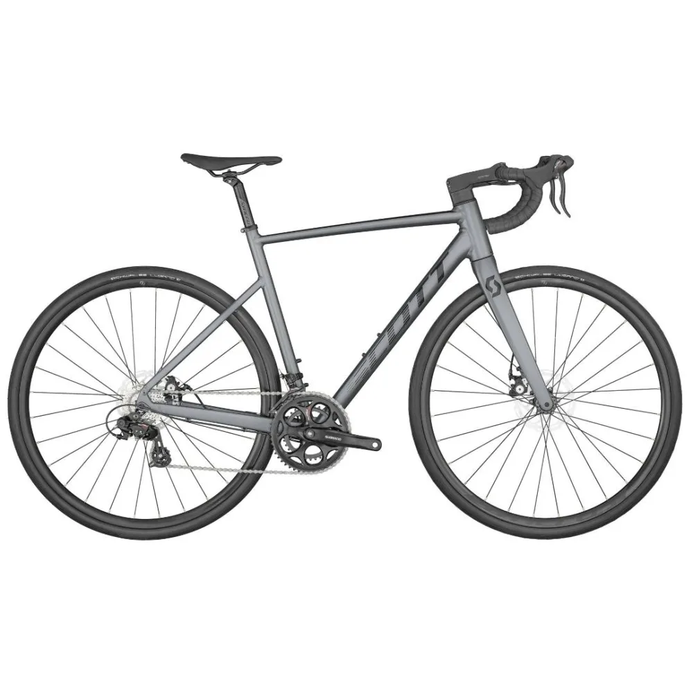 Speedster millésime 2022