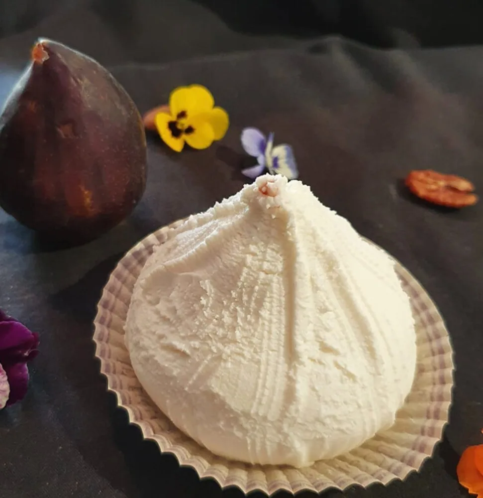 Feuille, poivre, figou, brique cendrée, buchette, crottin, palet, briquette, rocher blanc, rocher cendré, chabichou