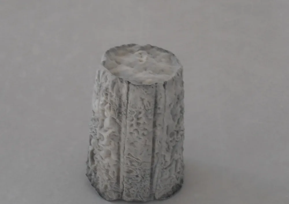 Fromage de chèvre lait cru