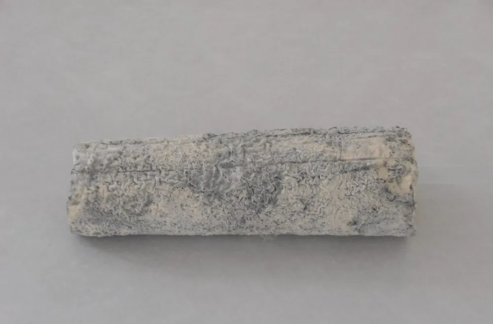 Fromage de chèvre lait cru