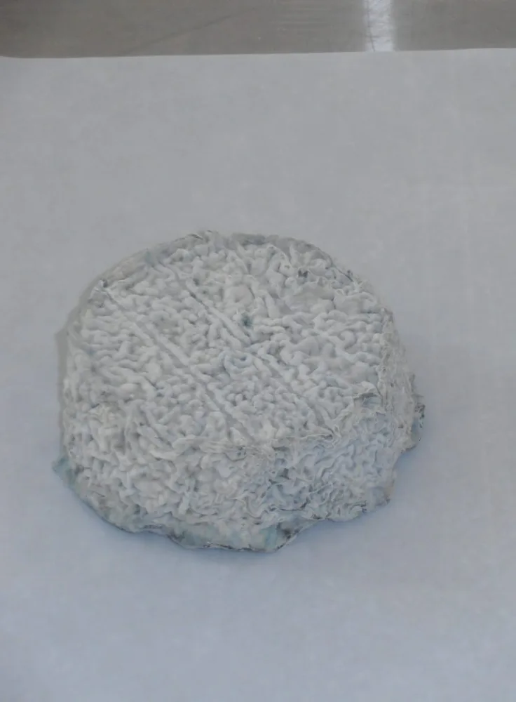 Fromage de chèvre lait cru