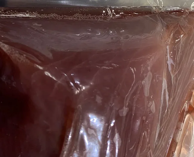 Longe de thon albacore