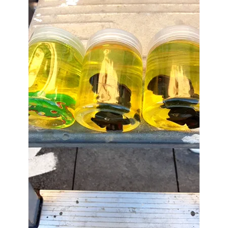 Slime toy