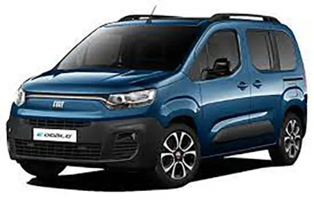 Passenger van / Light commercial vehicle