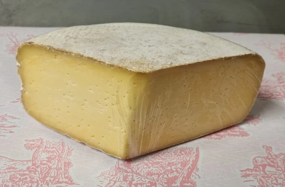 Tomme du bearn vache brebis