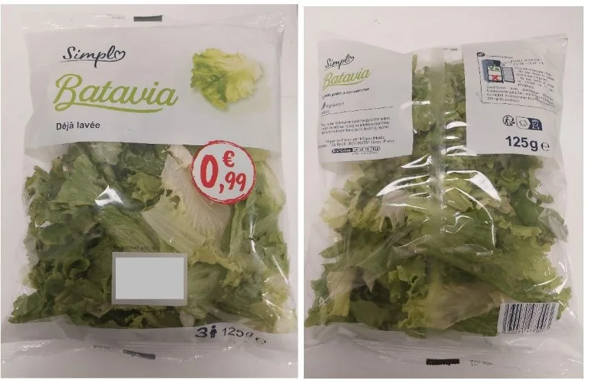 Salade batavia