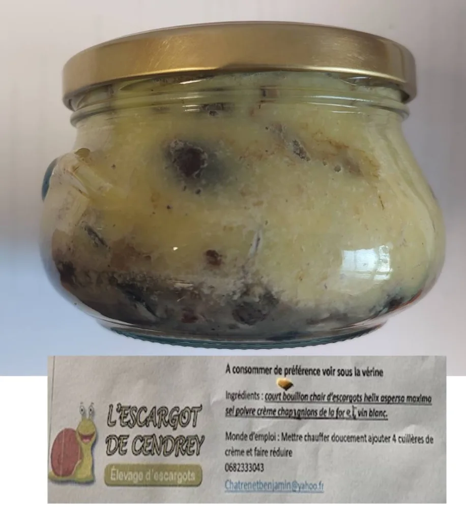 Escargots cuisinés à la crème