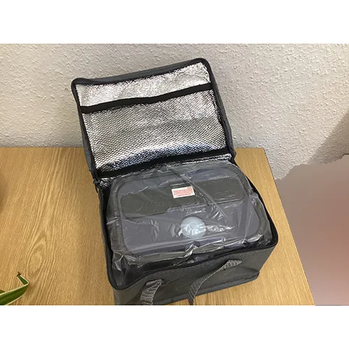 Electric lunchbox