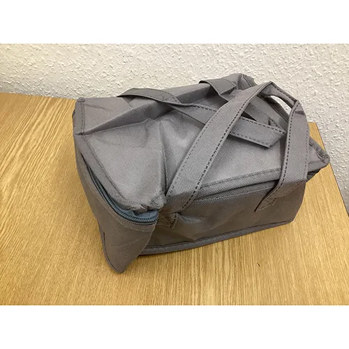 Electric lunchbox
