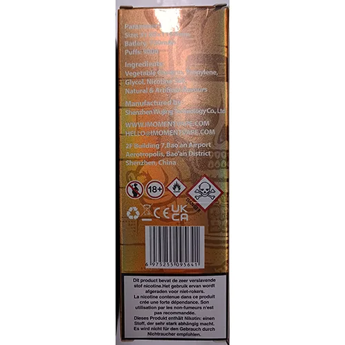 Disposable electronic cigarette